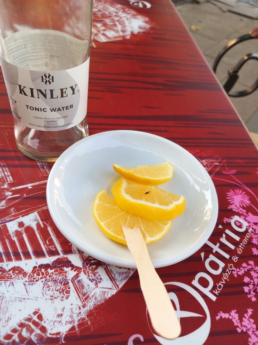 Patria Cafe And Restaurant-7